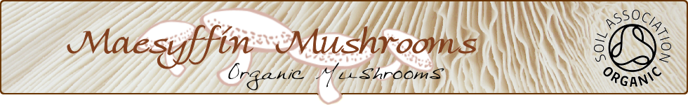 Maesyffin Mushrooms - growers of award-winning Organic Shiitake Mushrooms